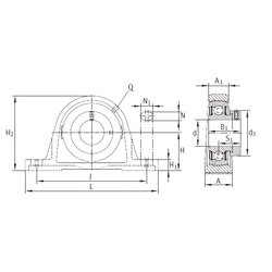 Bearing PASE35-N-FA125