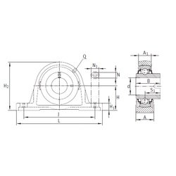 Bearing RASEL25-N