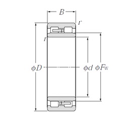 Bearing NNU49/500