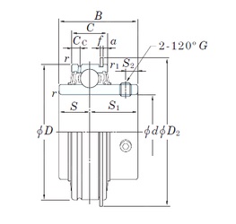 Bearing ER209-27