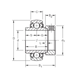 Bearing 1100KLLB