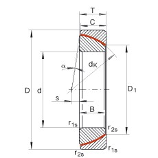 Bearing GE45-SW