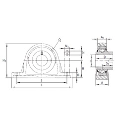 Bearing RASEL30-N