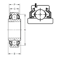 Bearing 209KLLG