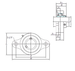 Bearing UCSFL207H1S6