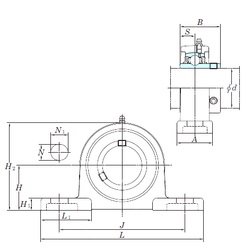 Bearing UCSP210H1S6