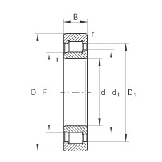 Bearing SL192320-TB