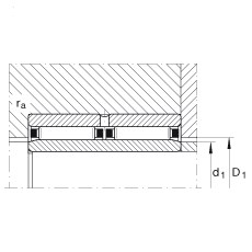 Bearing NAO25X42X32-ZW-ASR1