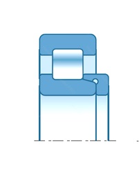 Bearing RNH1017