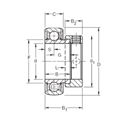 Bearing RAL103NPPB2