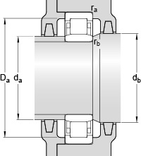 Bearing NU 303 ECP