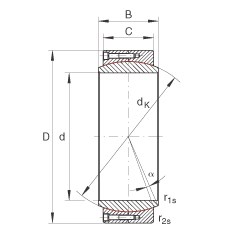 Bearing GE420-DW