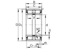 Bearing SL045036-PP