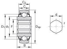 Bearing SK100-206-KRR-B-AH11