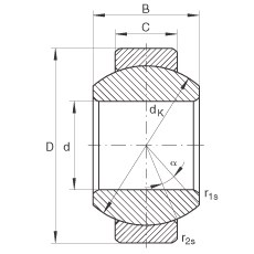 Bearing GE6-FO