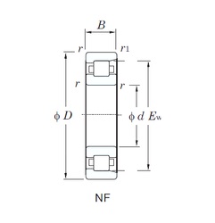 Bearing NF210