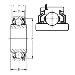 Bearing 205KLLG2