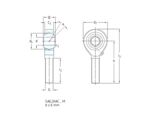 Bearing SALKAC22M