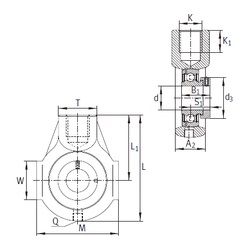Bearing PHE35