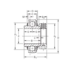 Bearing GN315KRRB