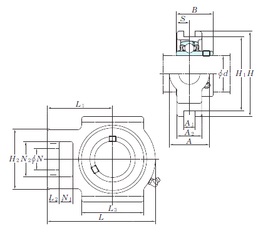 Bearing UCT206-18E