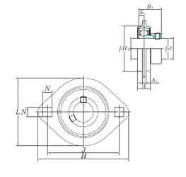 Bearing SAPFL205-15