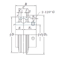 Bearing ER207-20