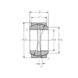 Bearing 100FSF160