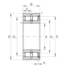 Bearing SL185038
