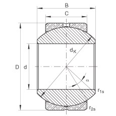 Bearing GE20-PB