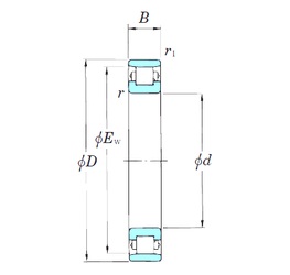 Bearing N1007