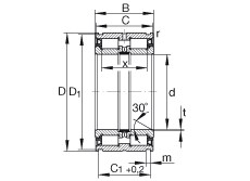 Bearing SL045011-PP