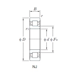 Bearing NJ2206R