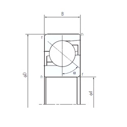 Bearing 60TAF13