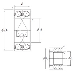 Bearing 305424
