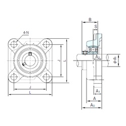 Bearing BF205