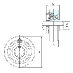 Bearing UKCX11+H2311