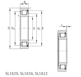 Bearing SL181892-E