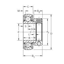 Bearing GRA100RRB
