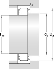 Bearing RNU 205 ECP