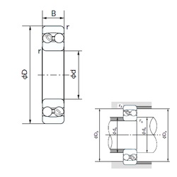 Bearing 2304