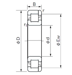 Bearing NP 1076