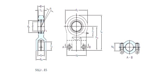 Bearing SIJ 100 ES