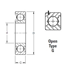 Bearing 204WG