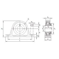 Bearing RASEA20-N