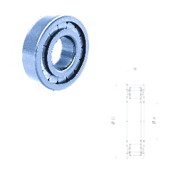 Bearing 722063010