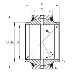 Bearing GE60-HO-2RS