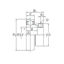 Bearing SA207