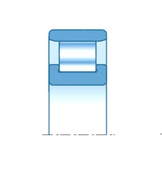 Bearing N204E