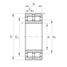 Bearing SL014928